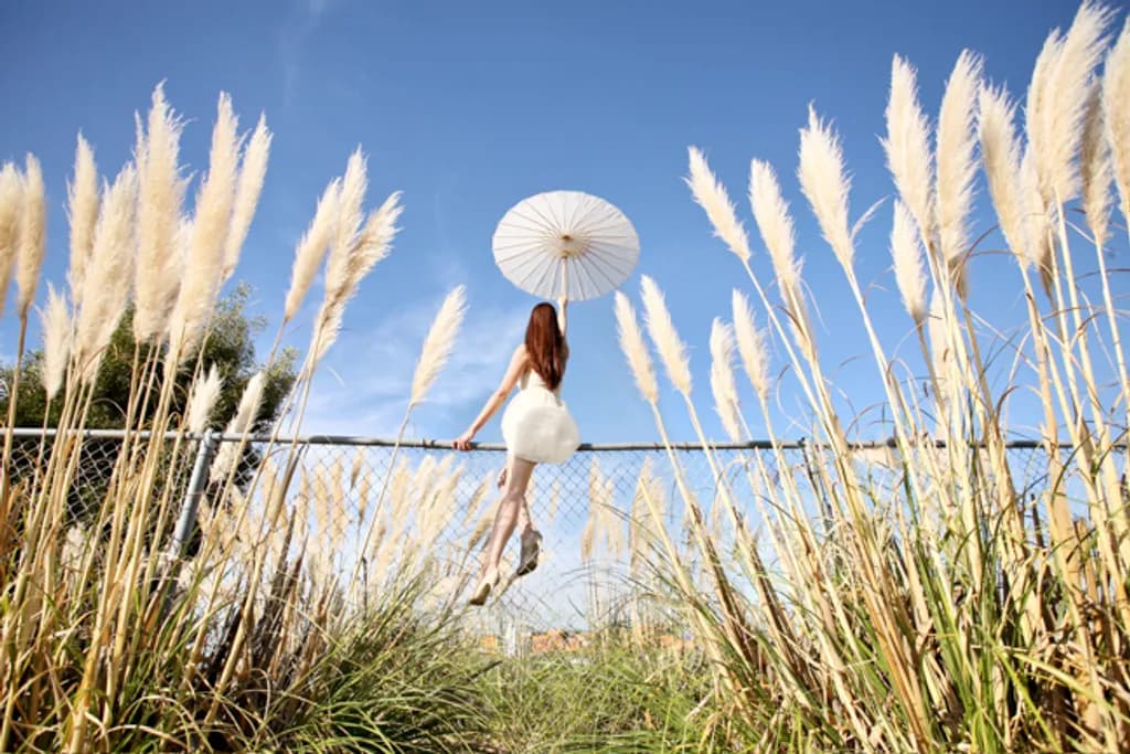Skyward Leap