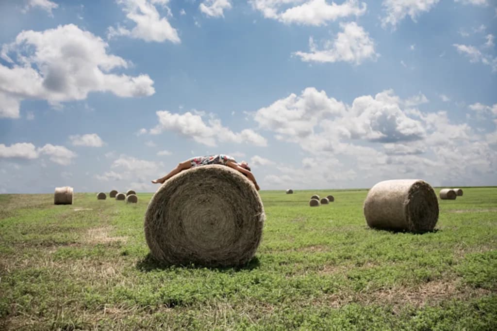 Hay Bale Repose