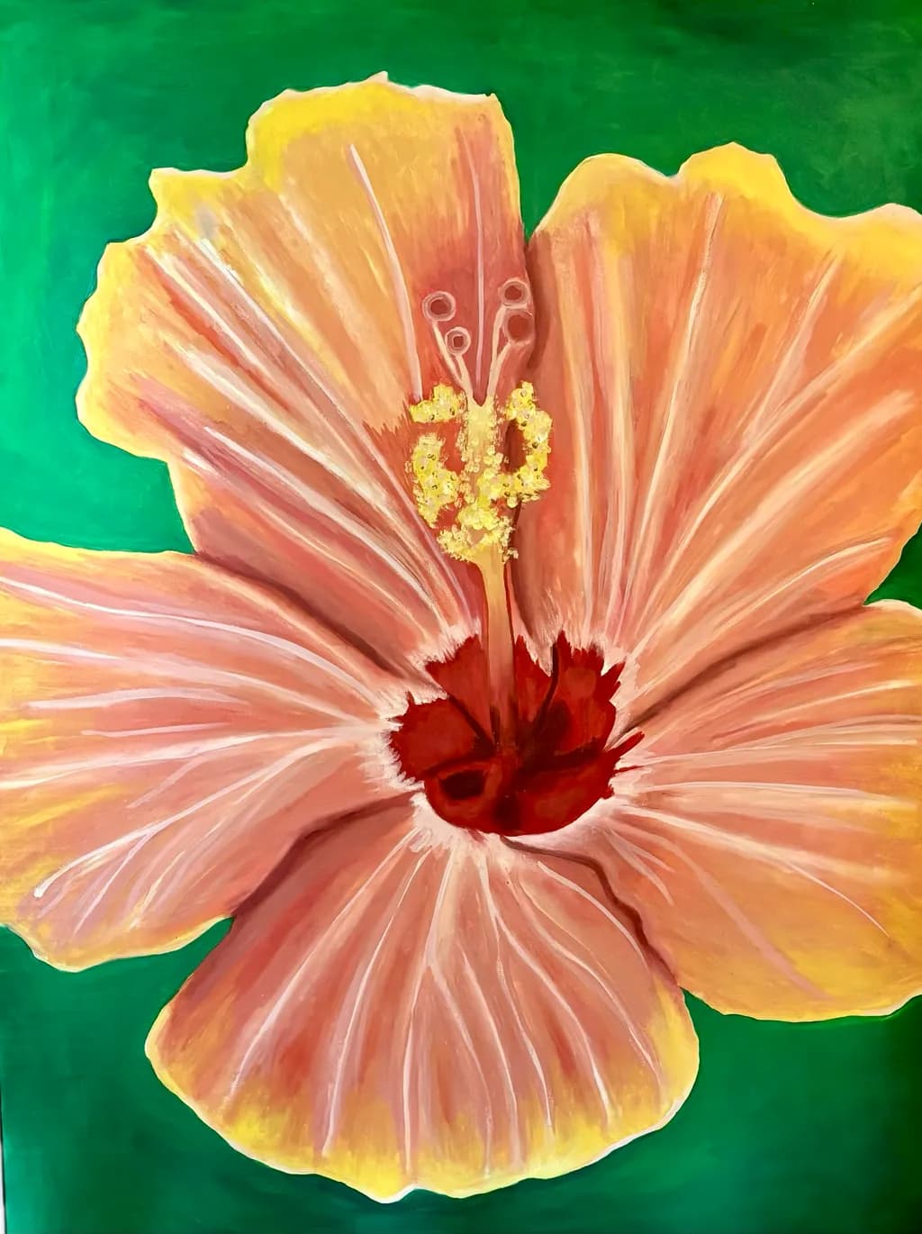 Blush Hibiscus