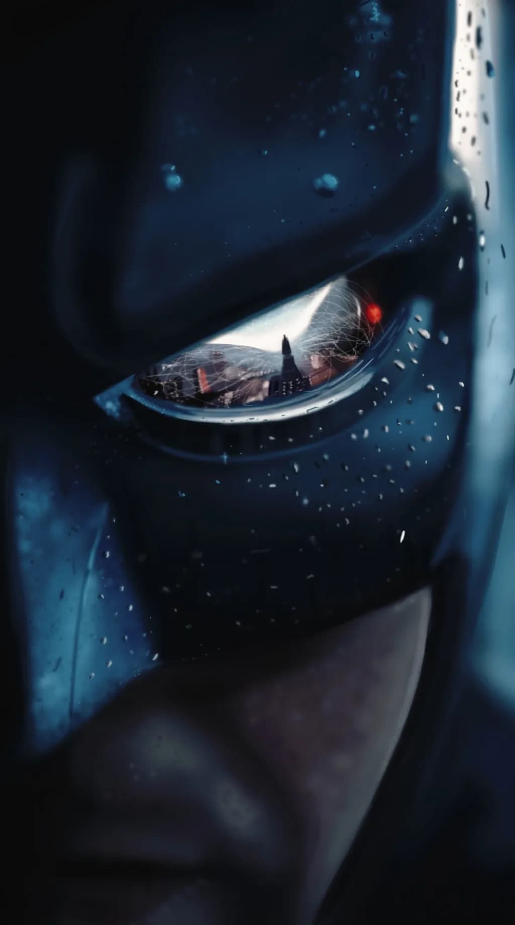 Shadowed Vigilance