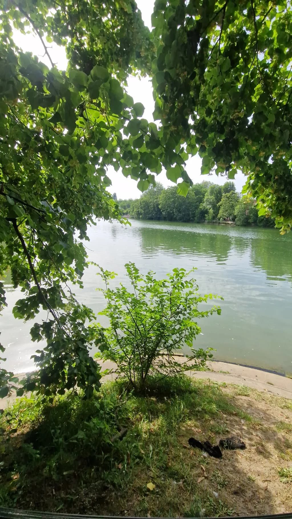 Riverside Canopy