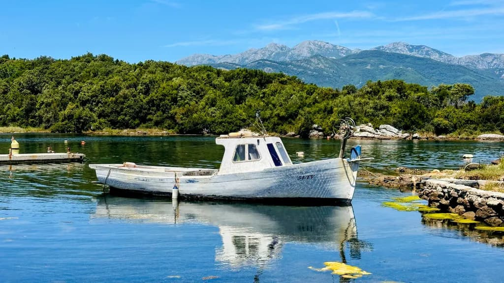 Tranquil Harbor Boat