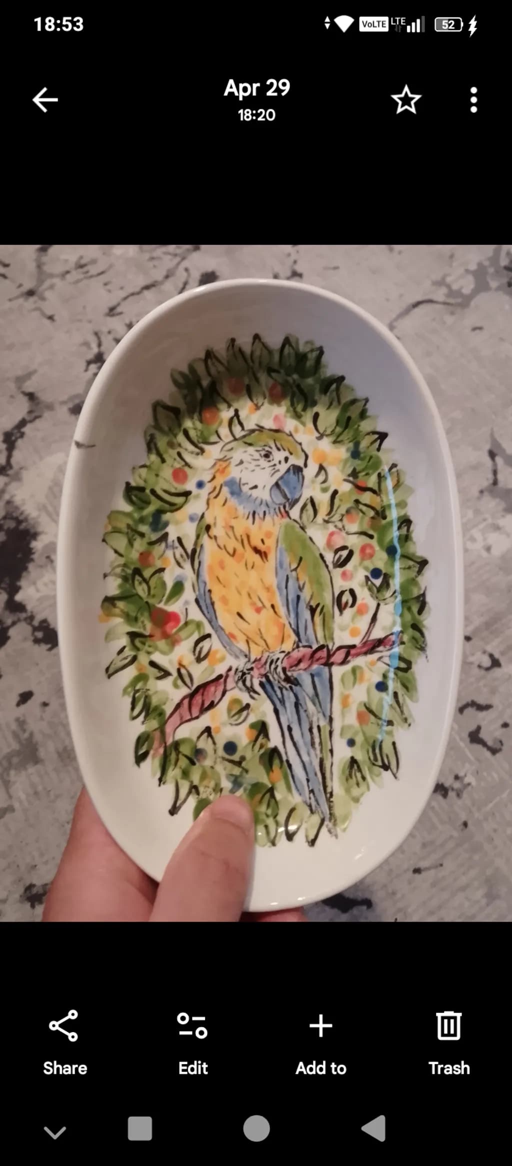 Parrot Grove Plate