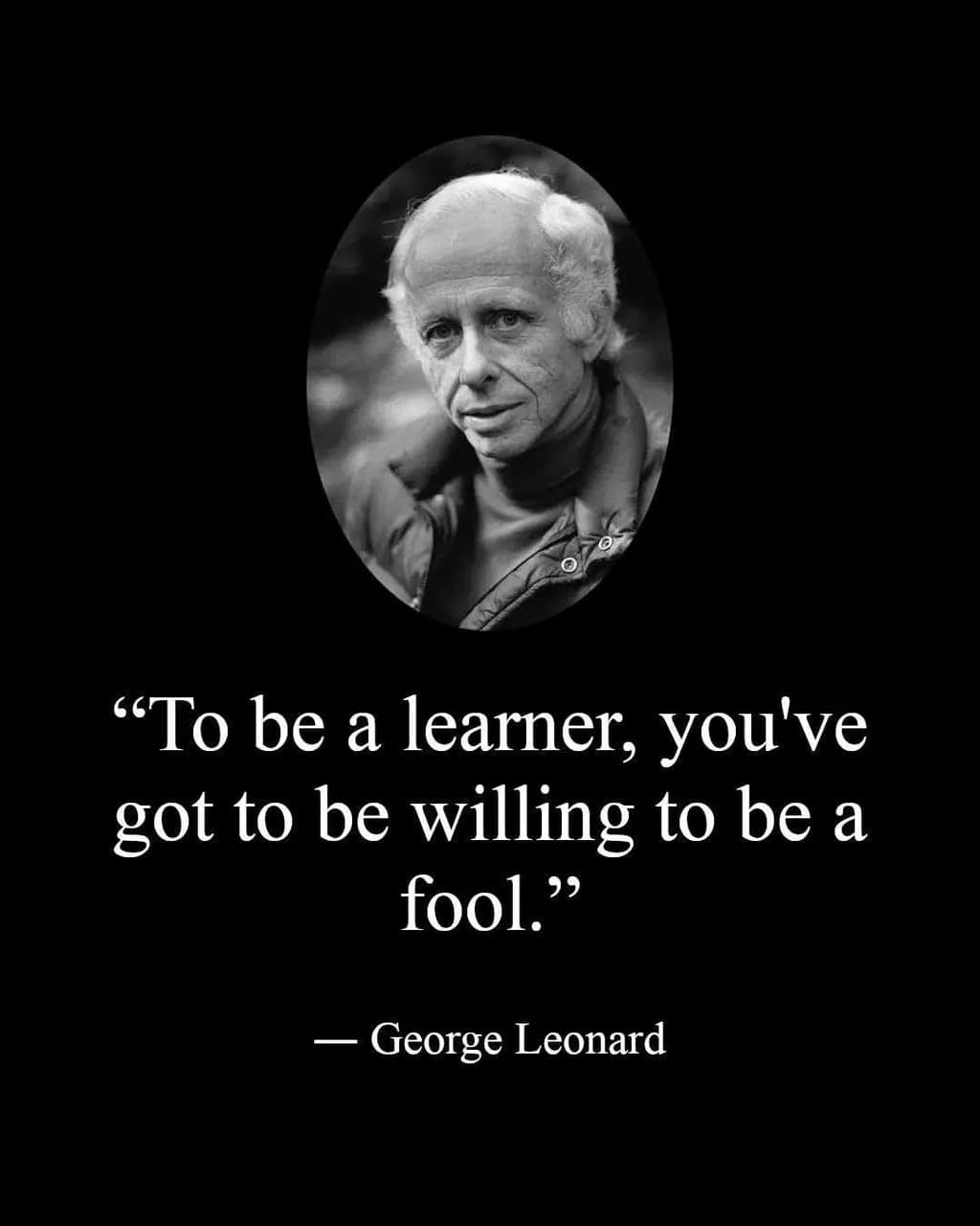 Willing Fool