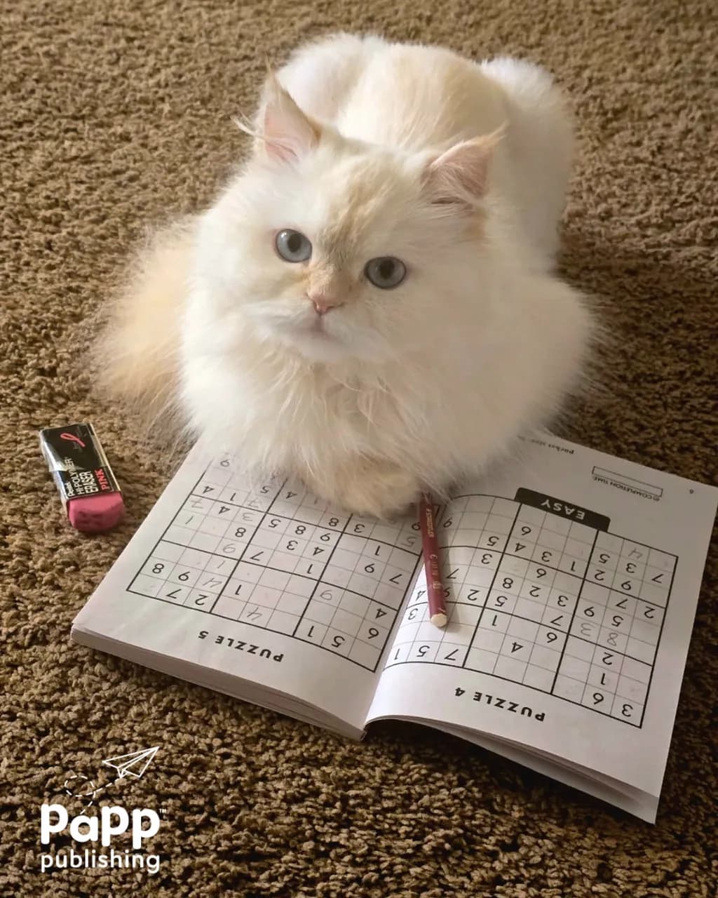 Sudoku Study Companion