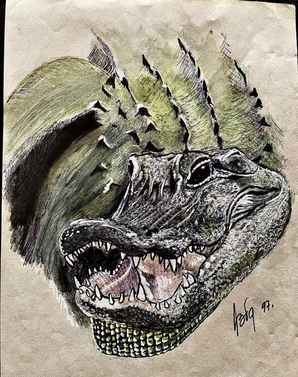 Gator Gaze
