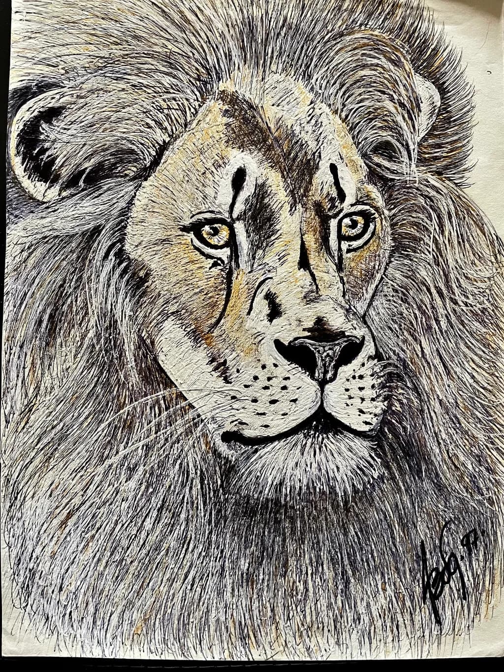 Regal Gaze