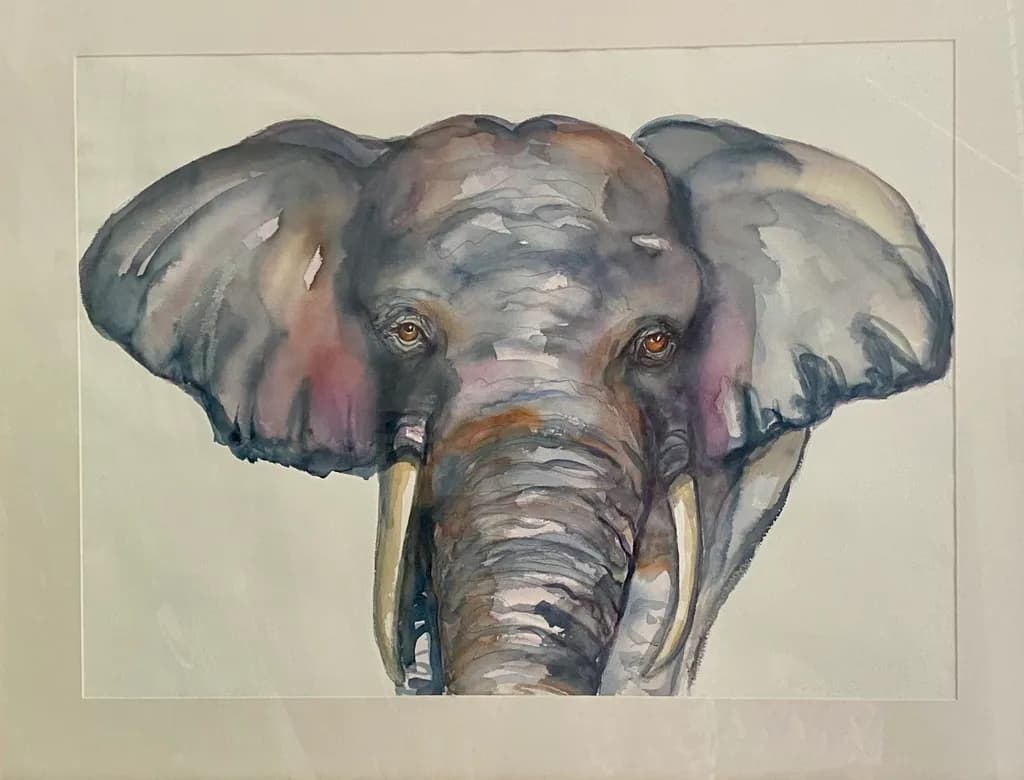 Elephant Gaze