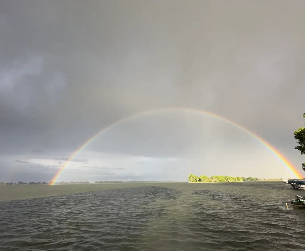 Harbor Rainbow