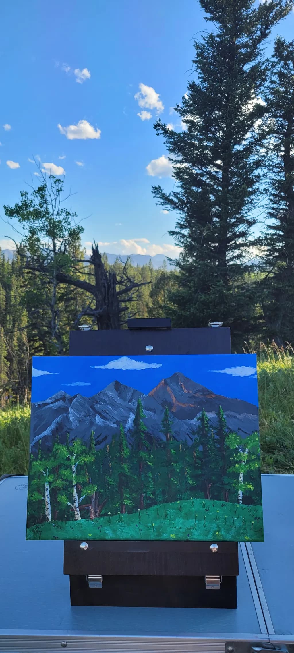 Mountain Vista