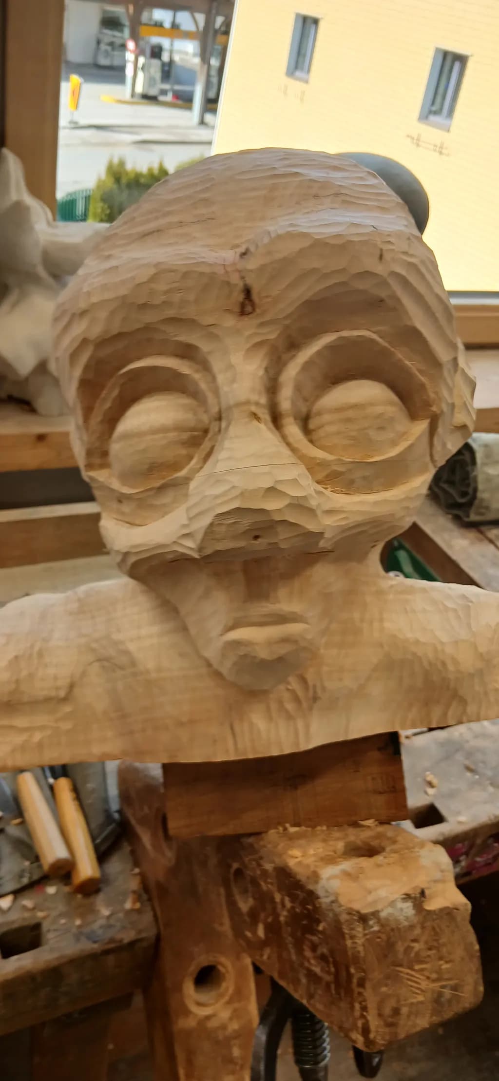 Wooden Gaze