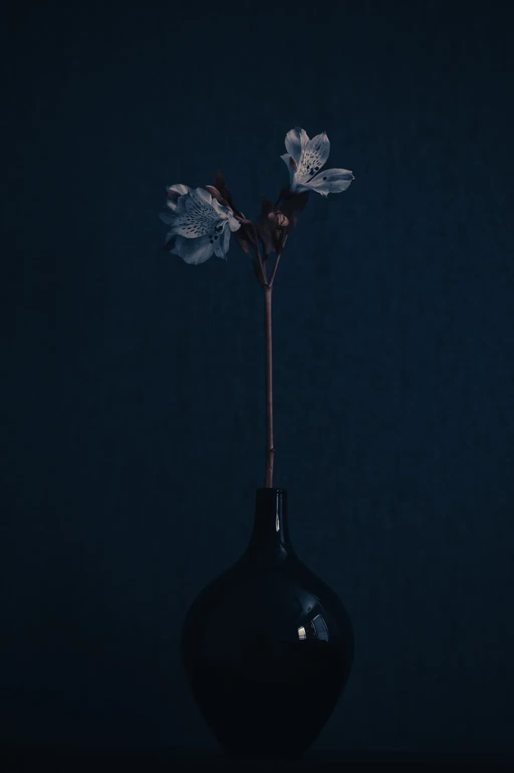 Silent Bloom