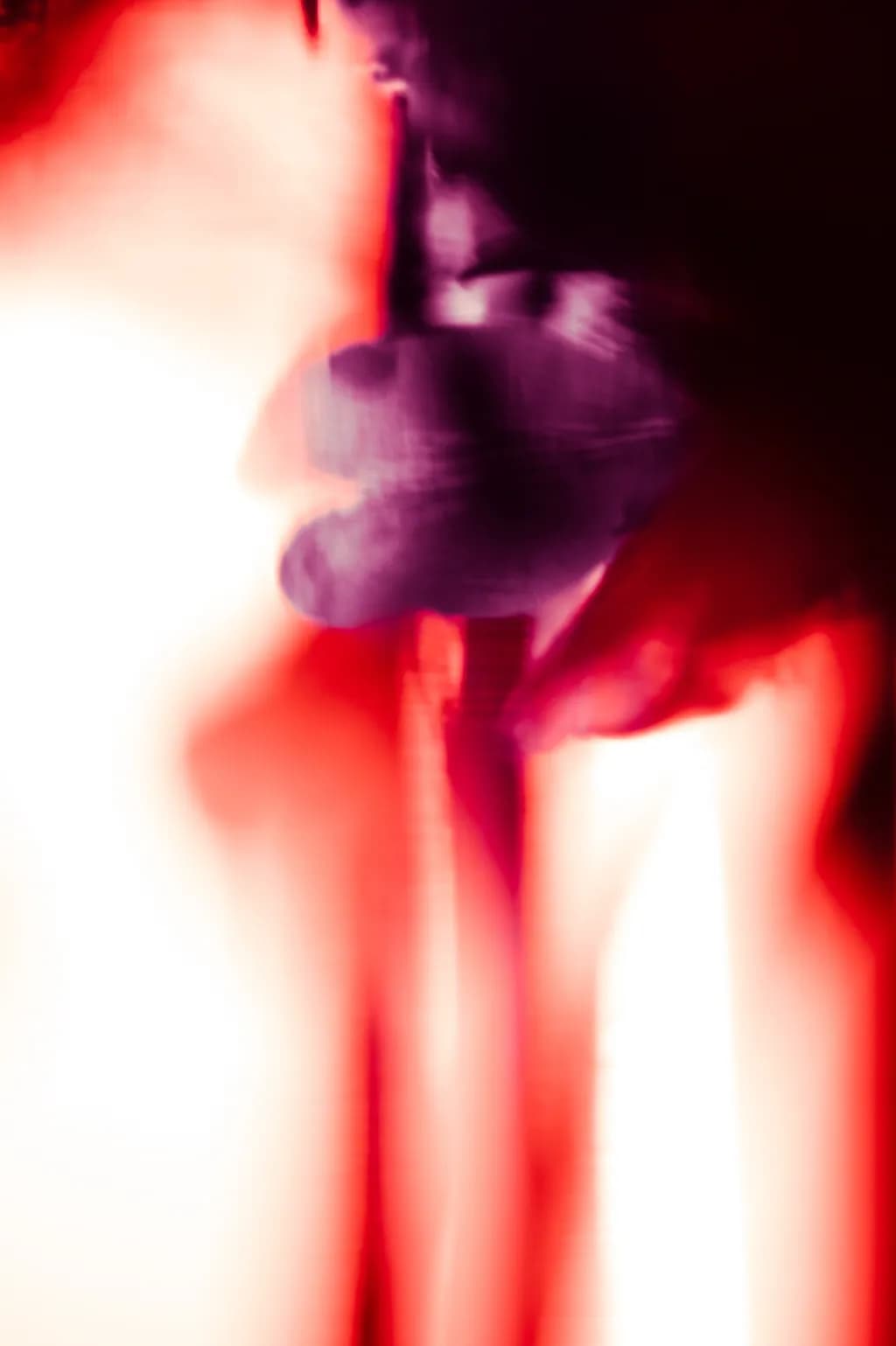 Blurred Bloom