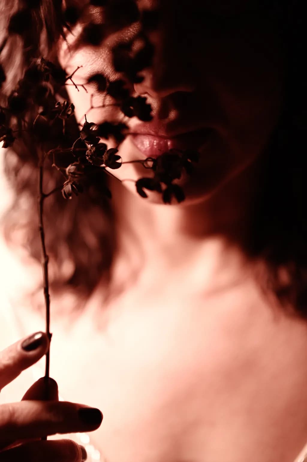 Silent Petals
