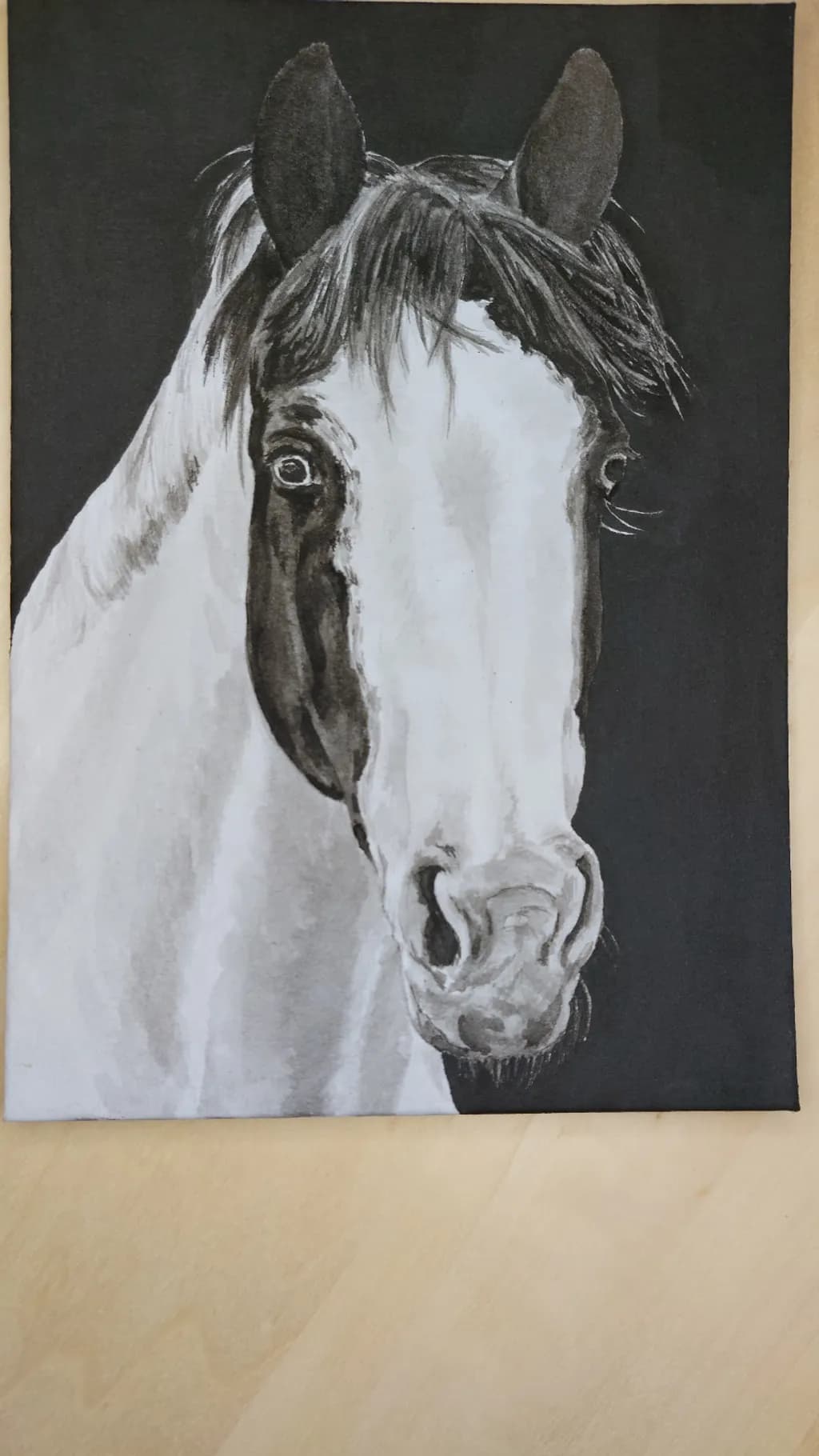 Monochrome Equine Gaze