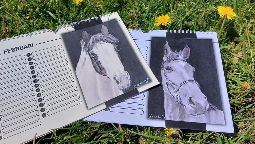 Equine Gaze