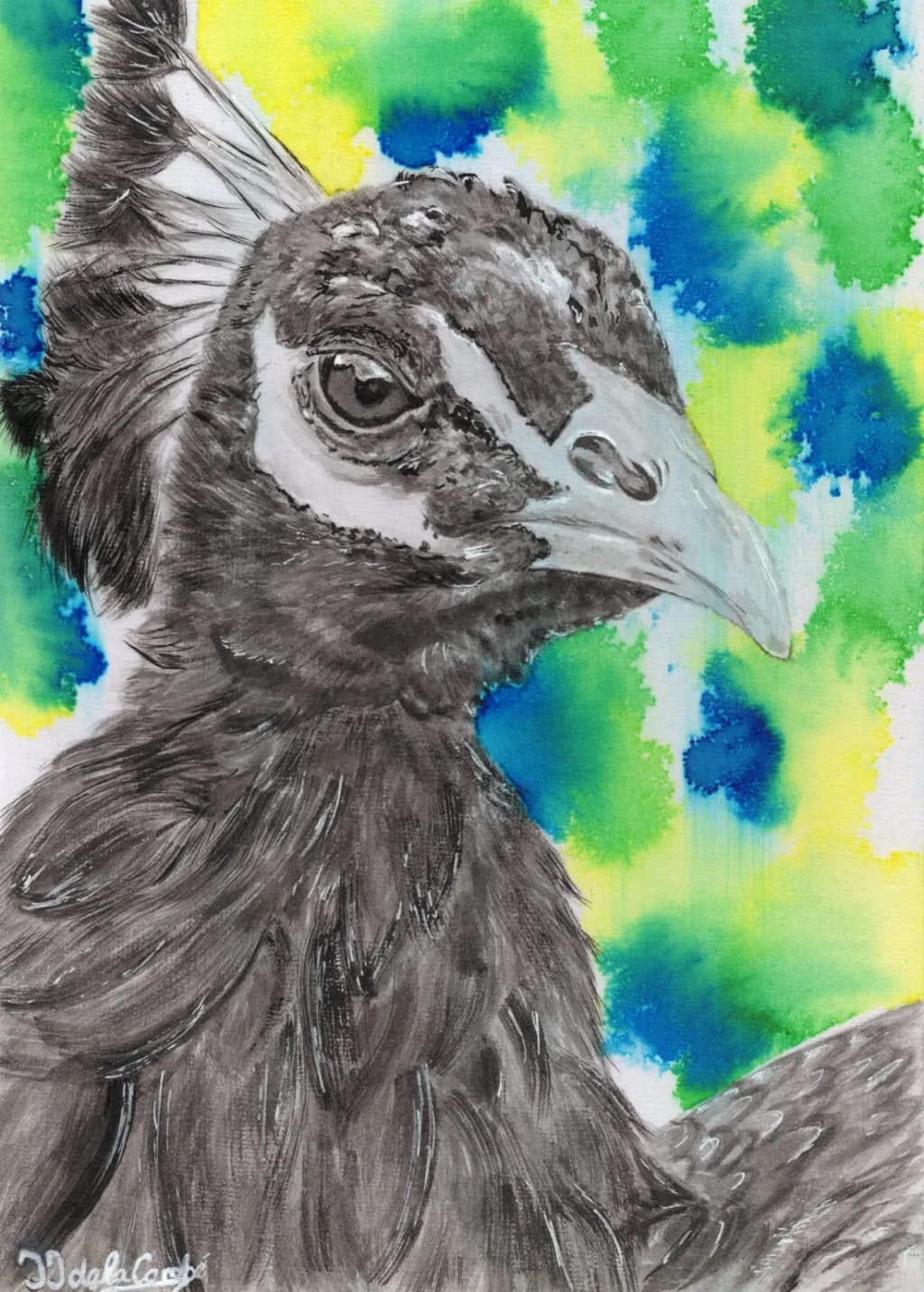 Peacock Portrait