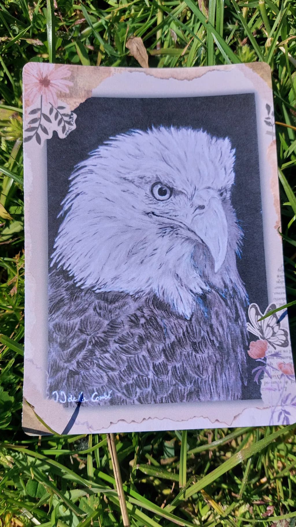 Stoic Eagle Glance