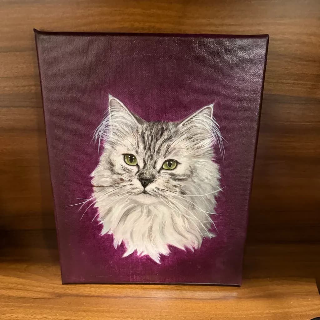 Silver Maine Coon Portrait