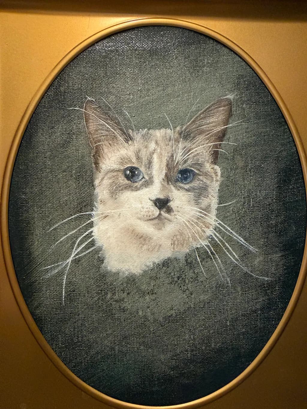 Mischievous Gaze