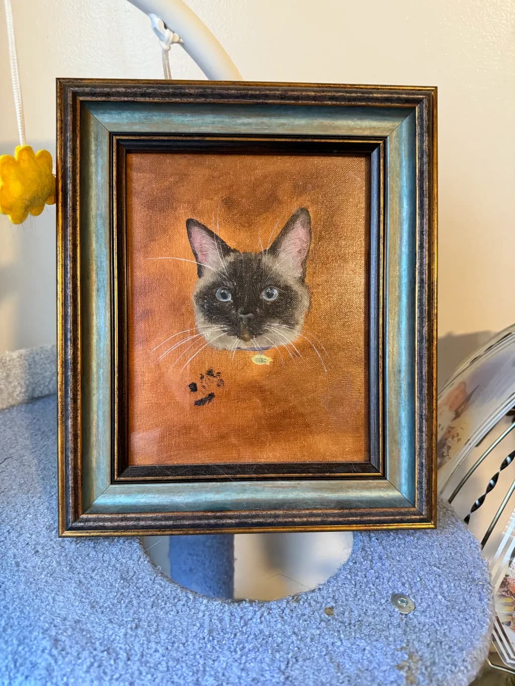 Siamese Gaze