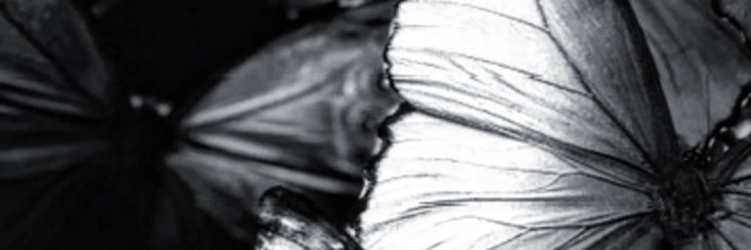 Banner do perfil