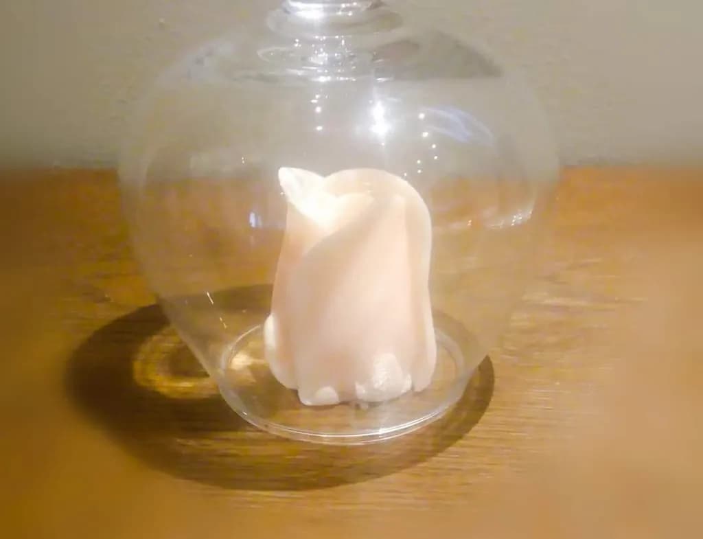 Trapped Flame