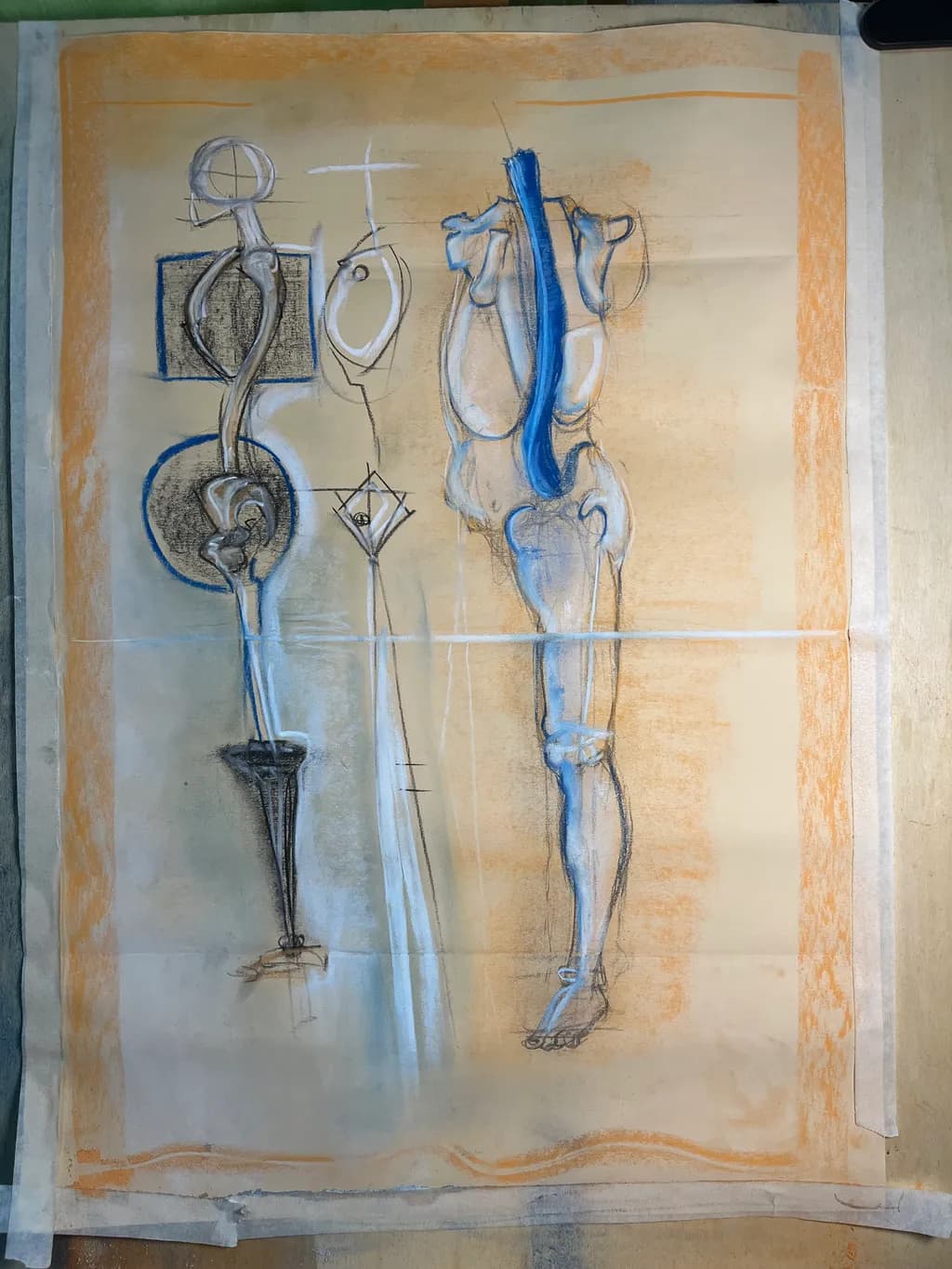 Anatomical Abstractions