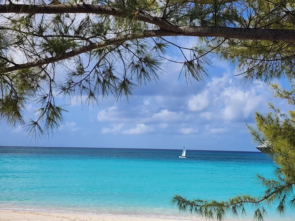 Turquoise Horizon