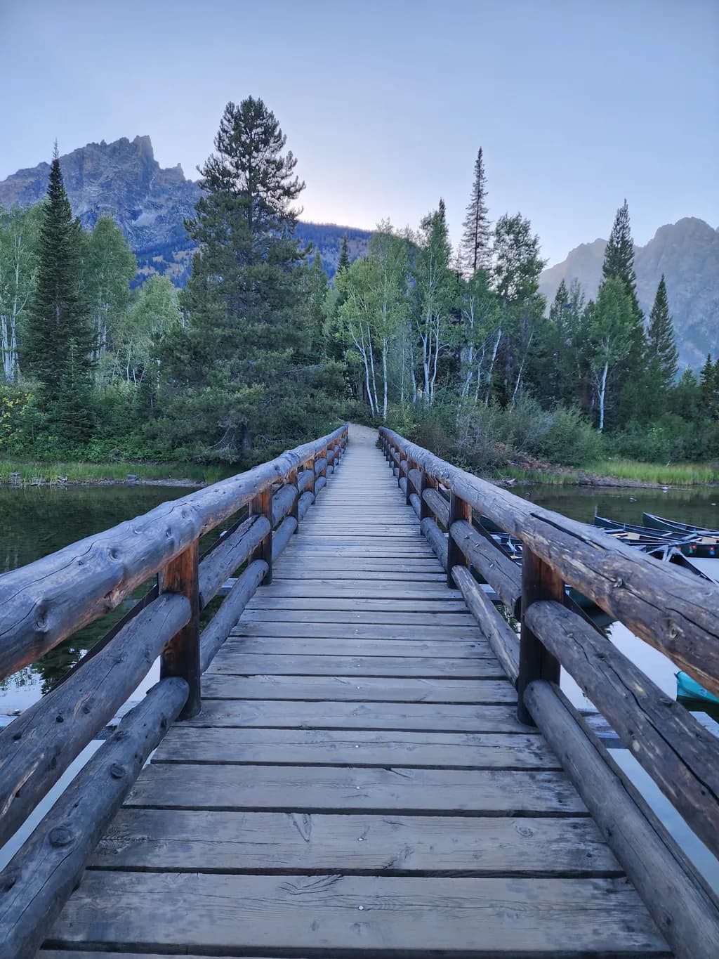 Timber Pathway