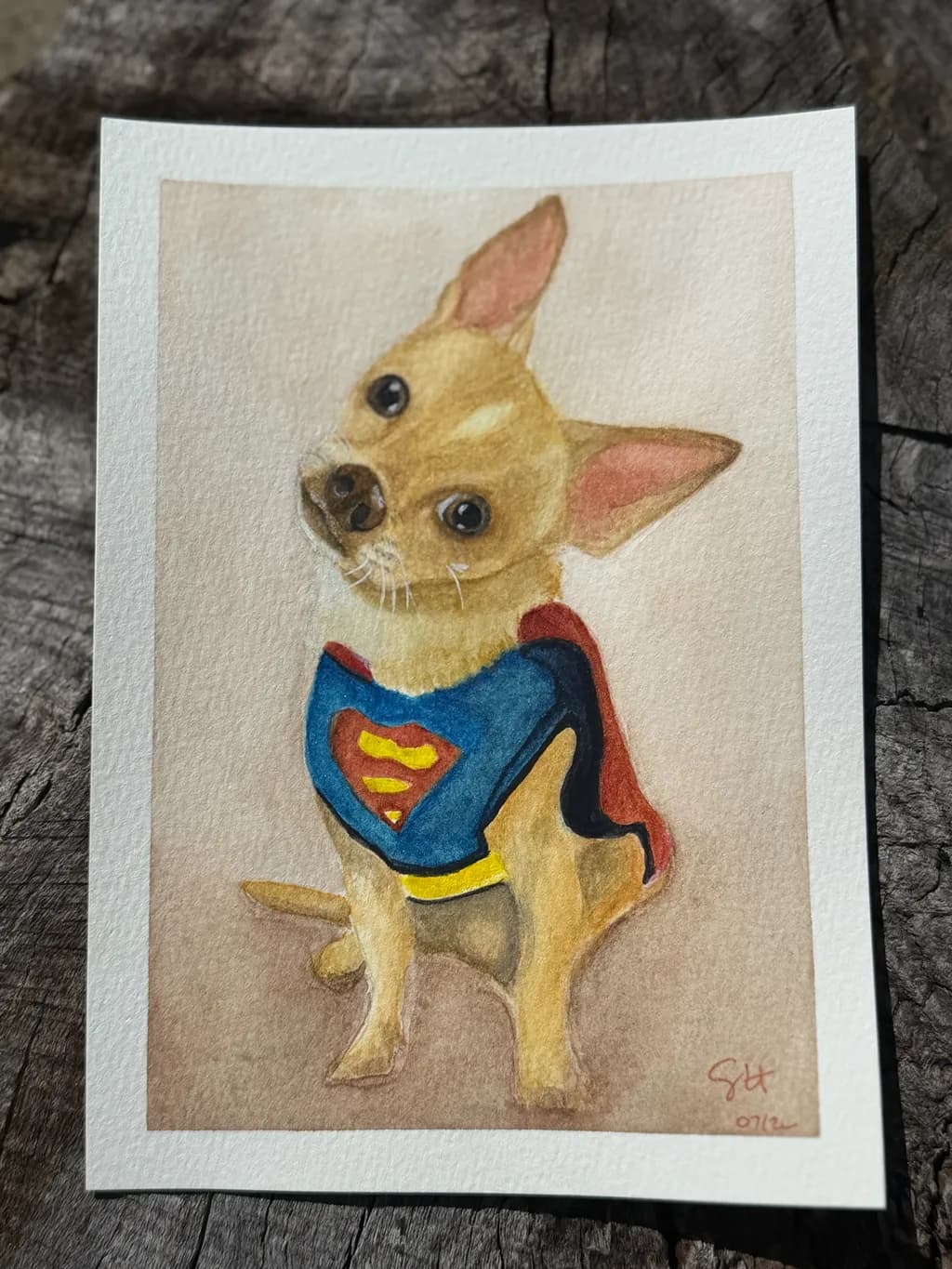 Superdog Portrait