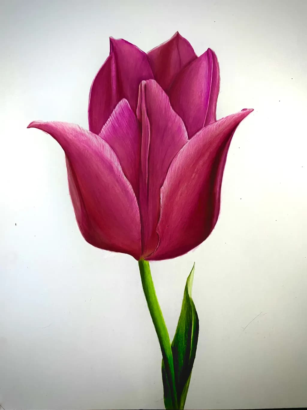 Crimson Bloom