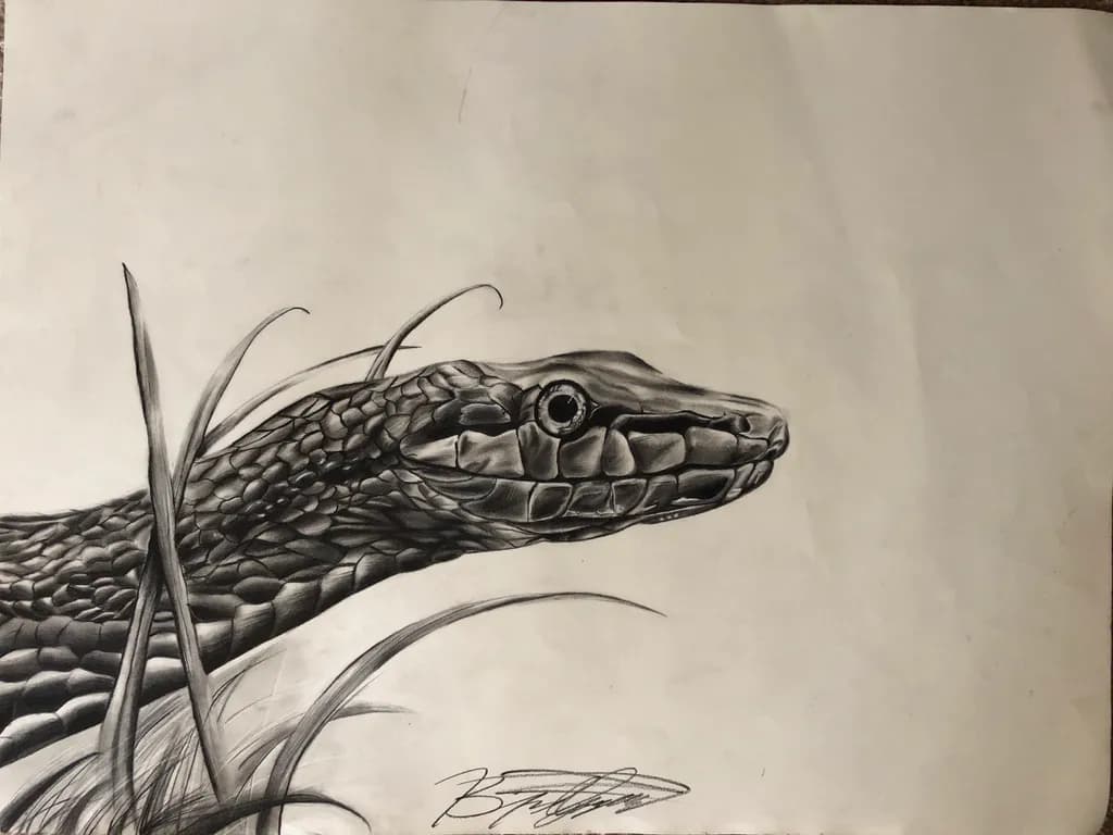 Serpent Gaze