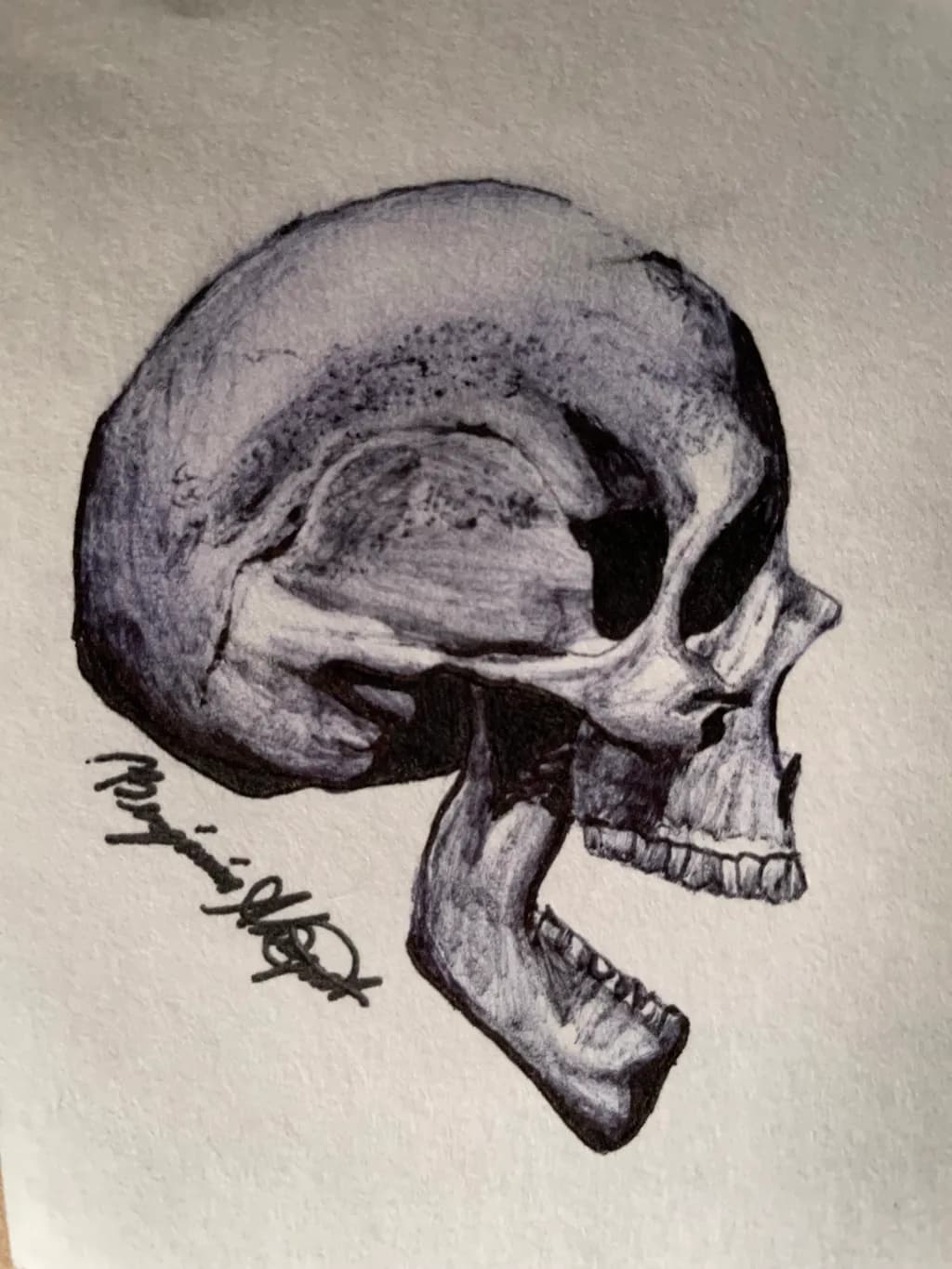 Contoured Skull