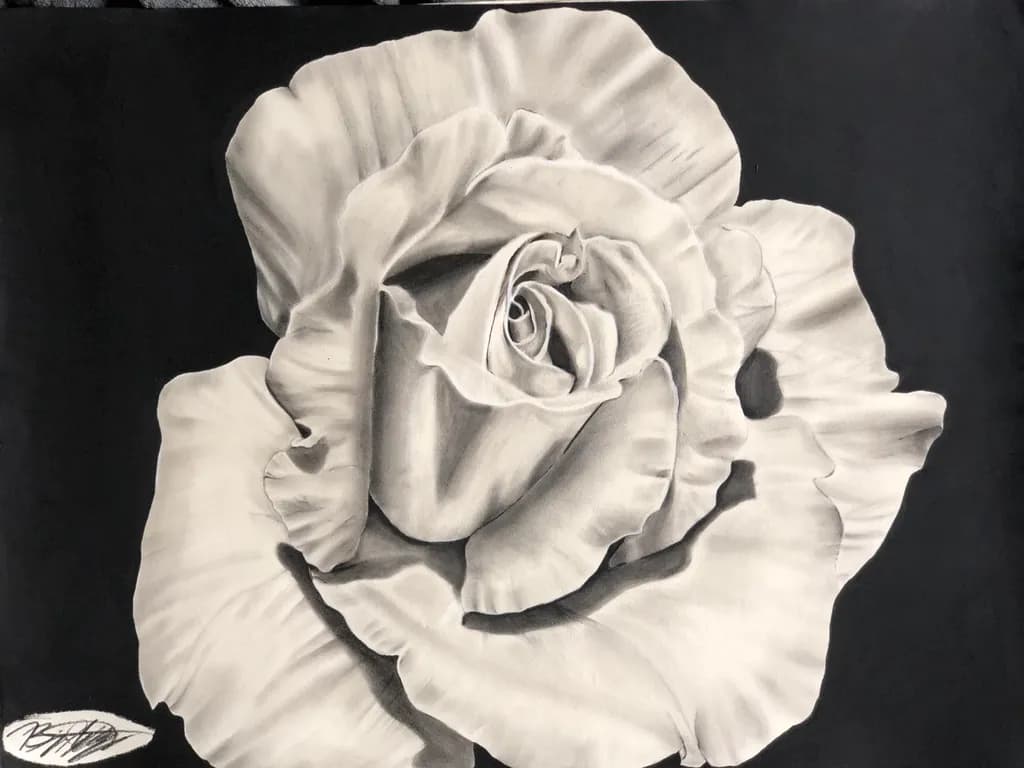 Monochrome Bloom