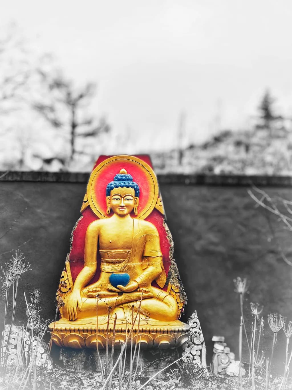 Golden Buddha Reflection