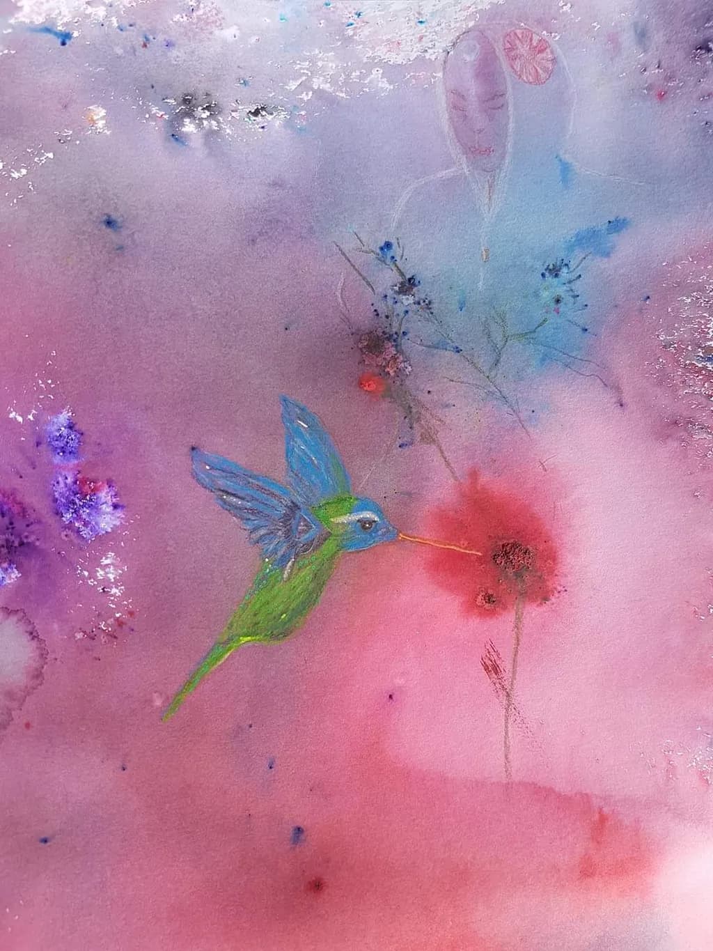 Hummingbird Bloom