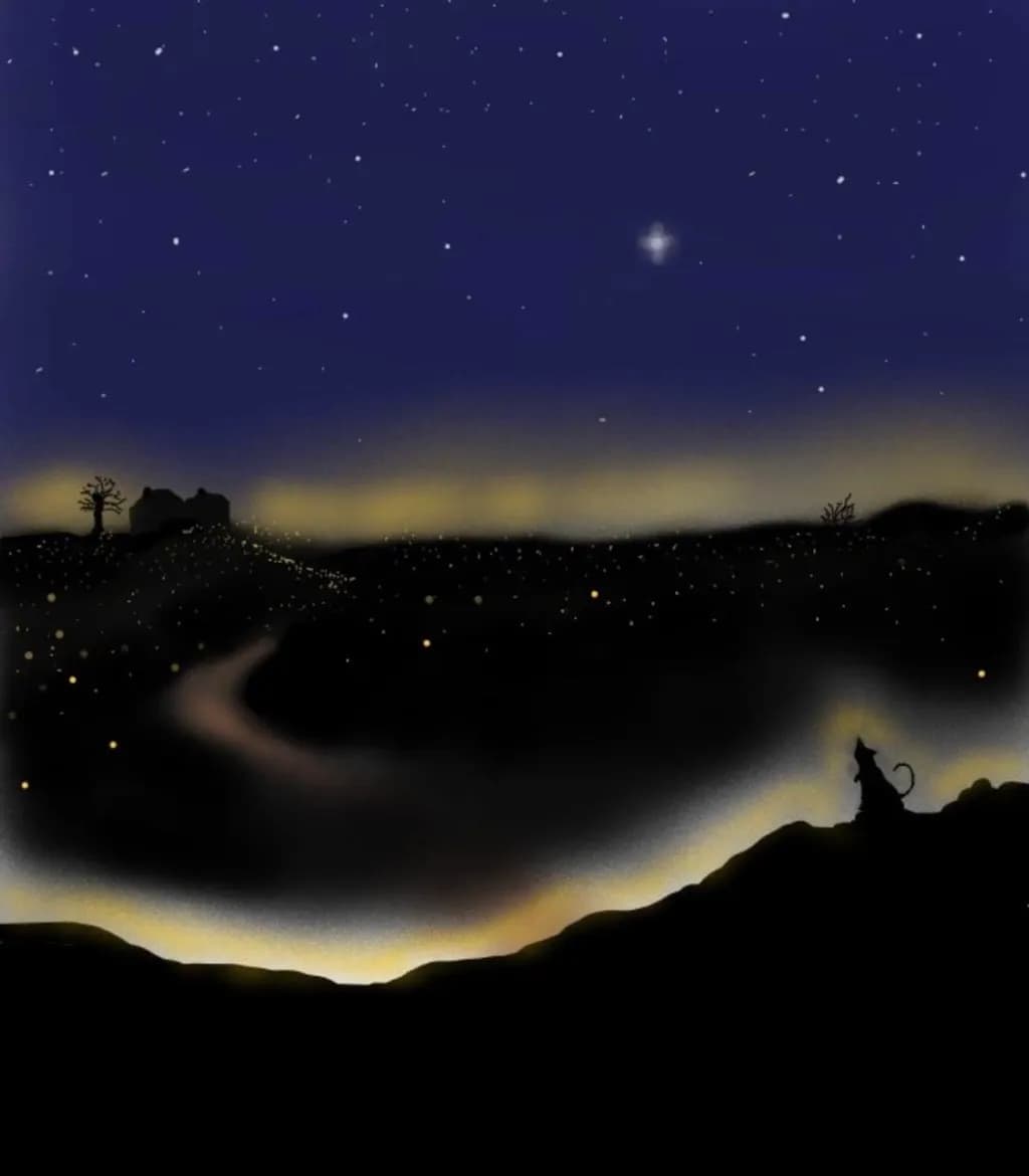 Starry Night Road