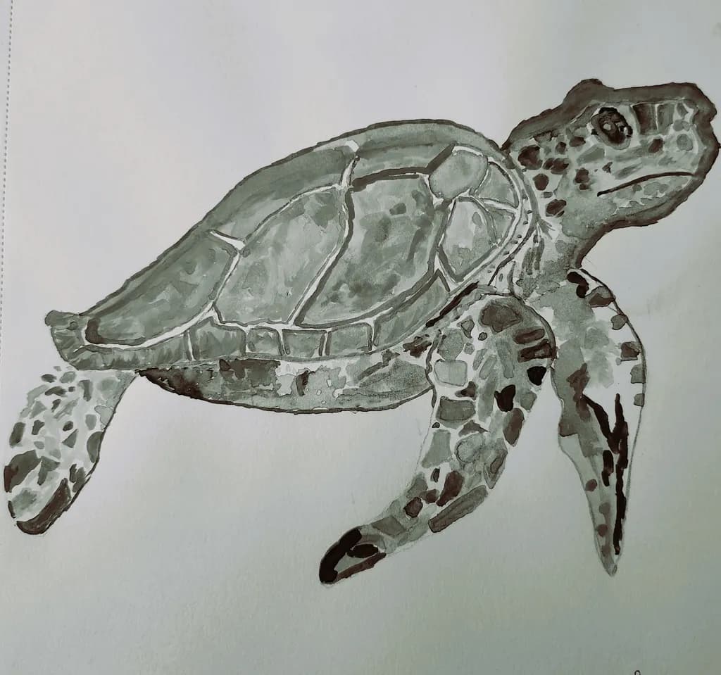Monochrome Turtle