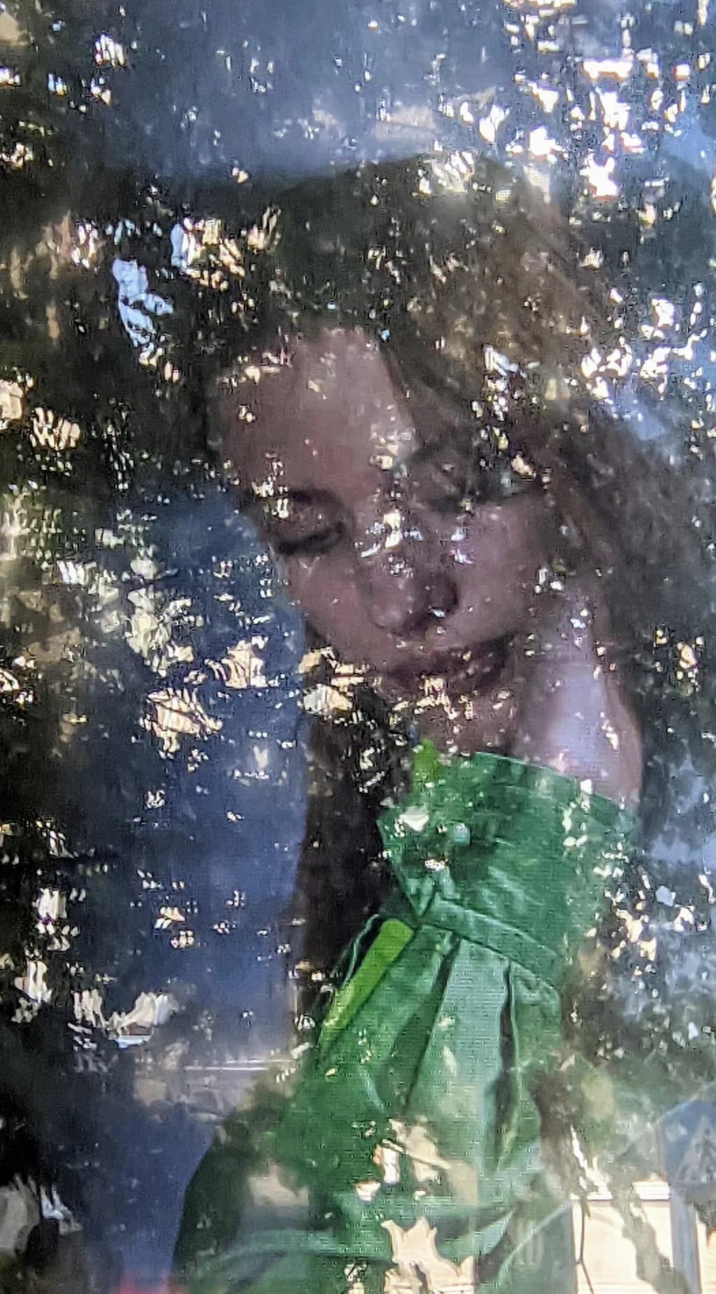 Green Reflection