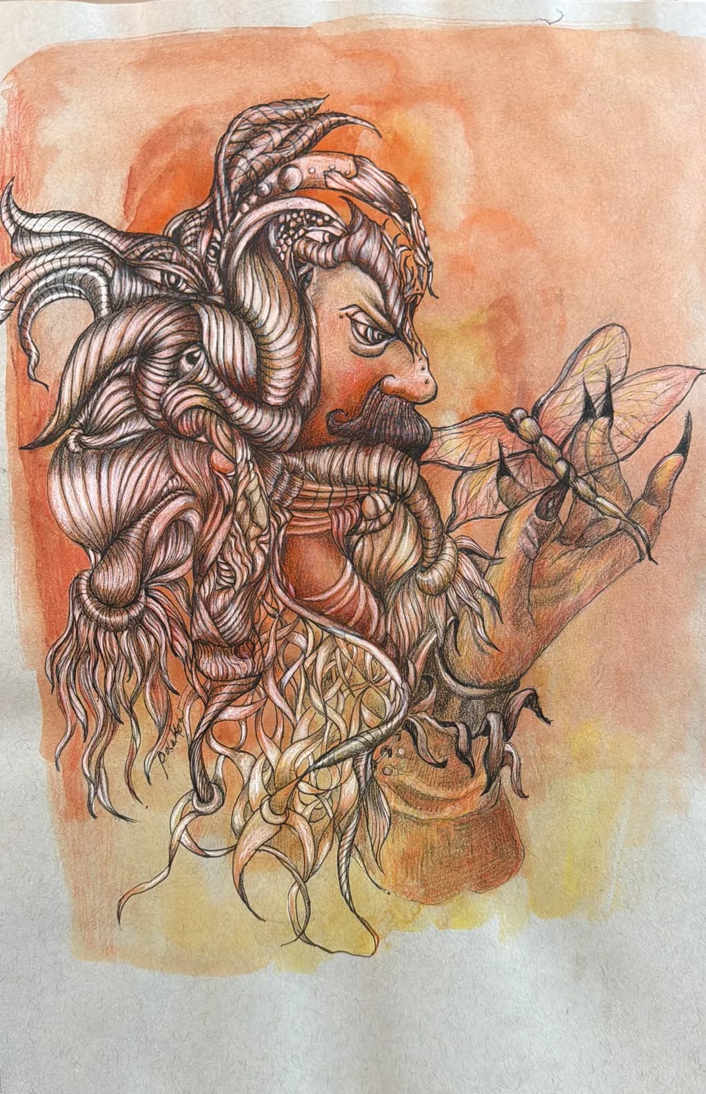 Dragonfly Whisperer