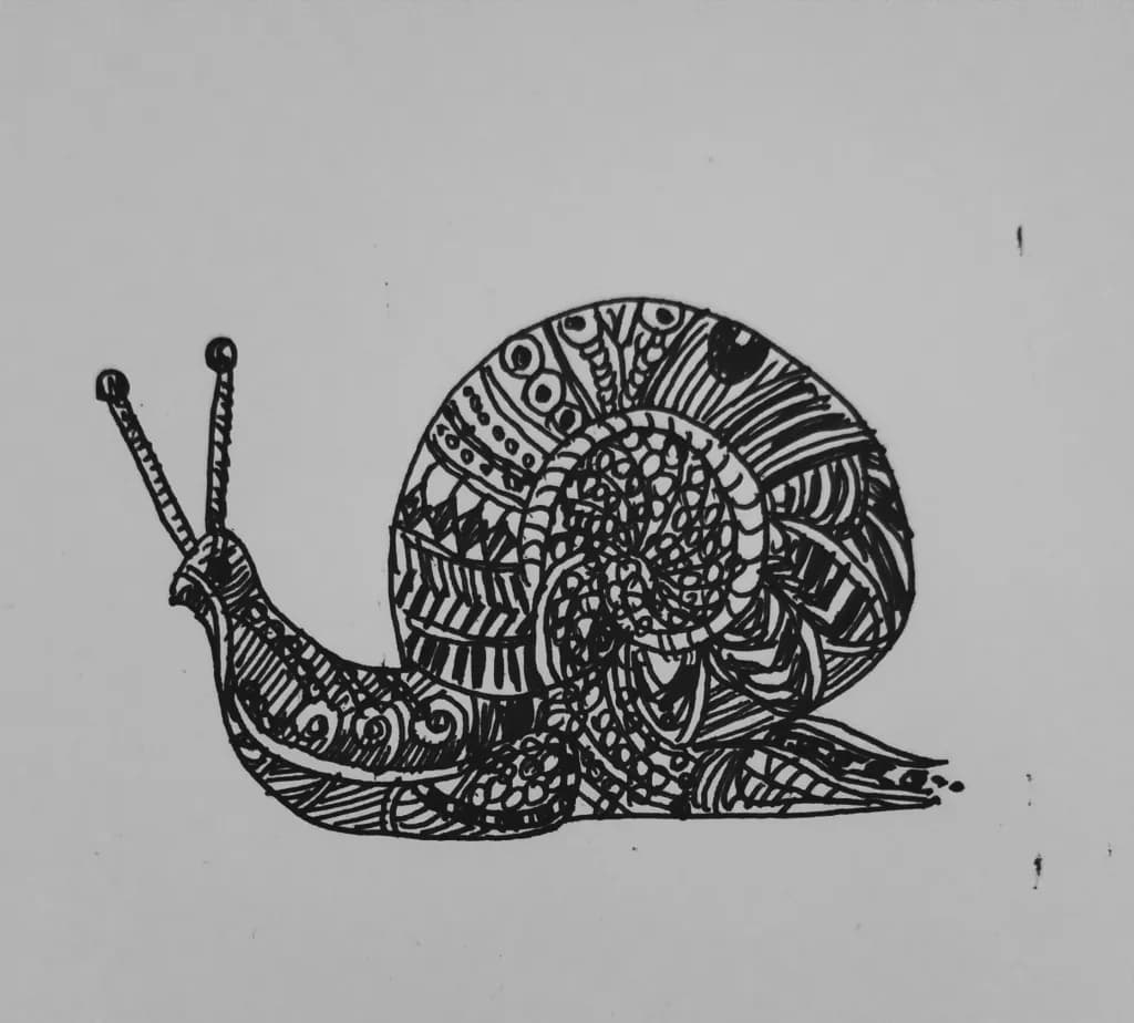 Intricate Spiral Snail