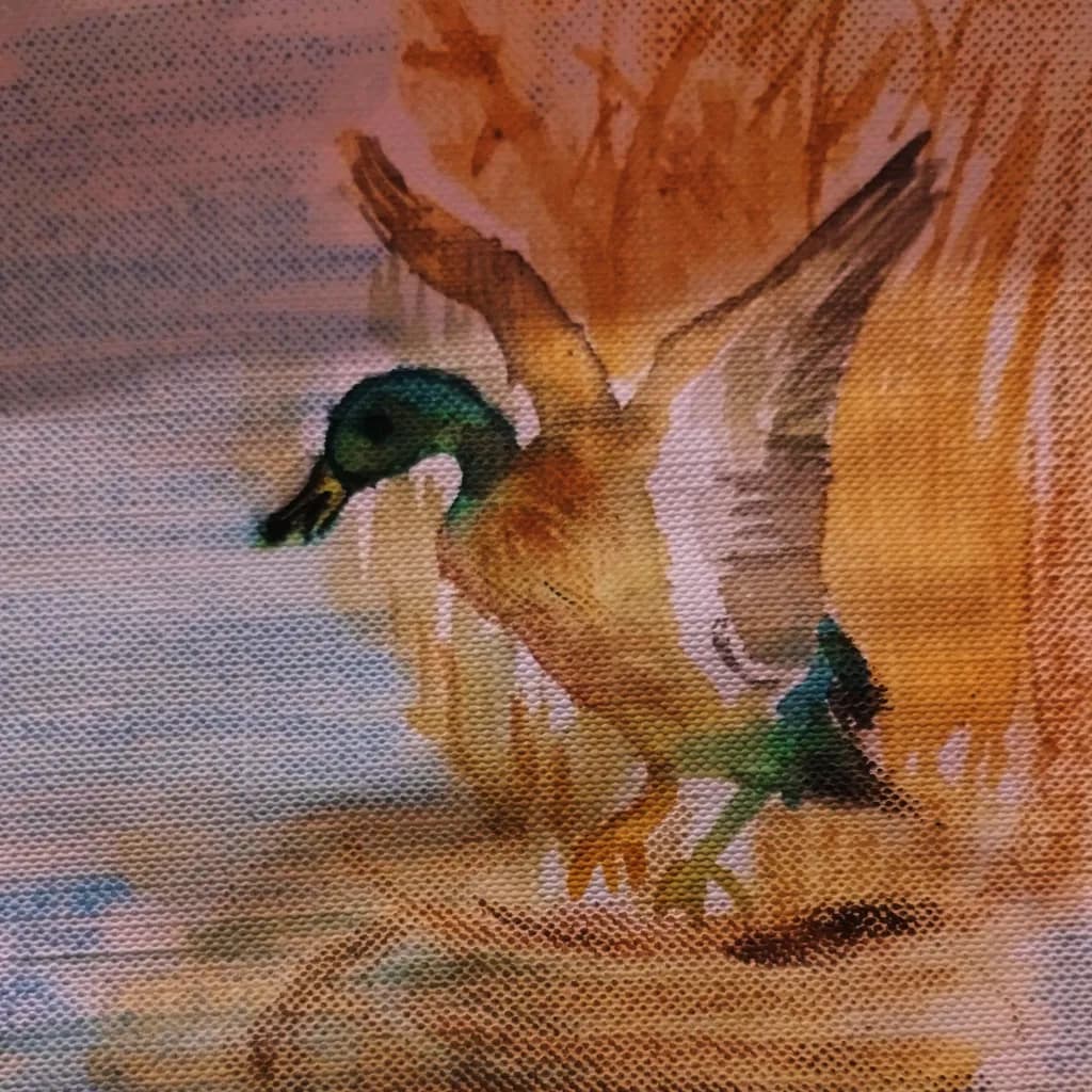 Marsh Flight