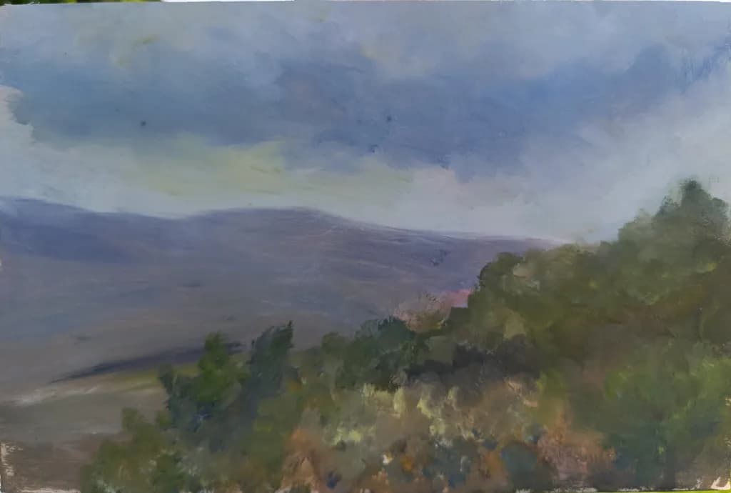 Misty Hillside