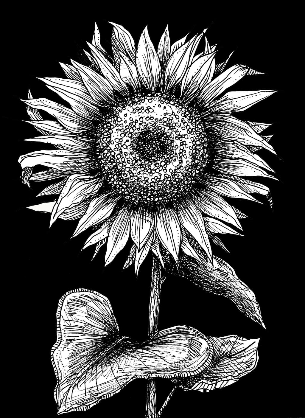 Digital Sunflower