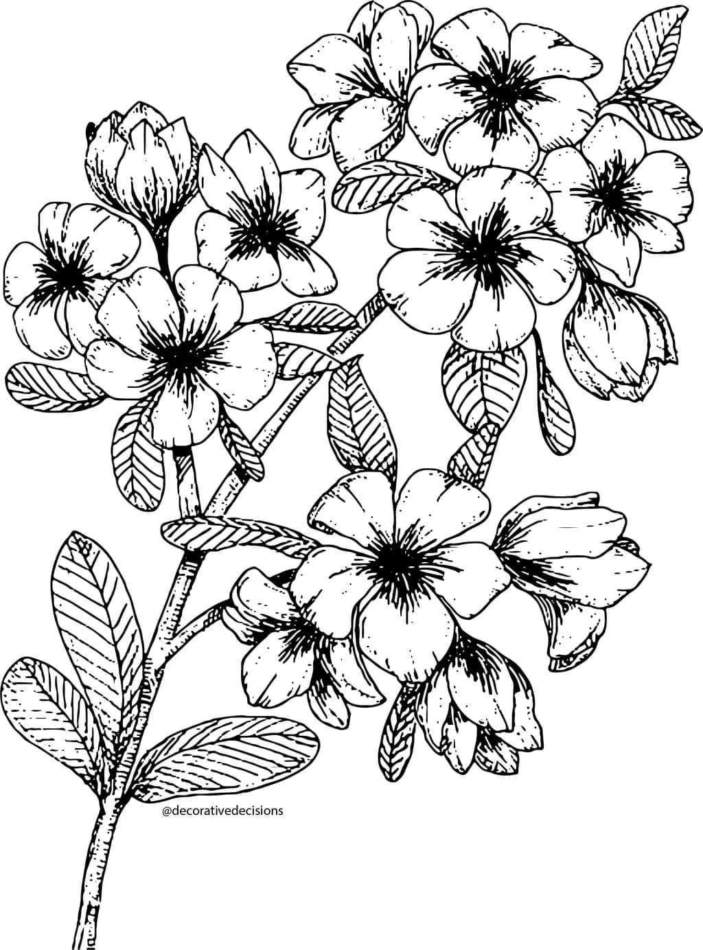 Little Blooms