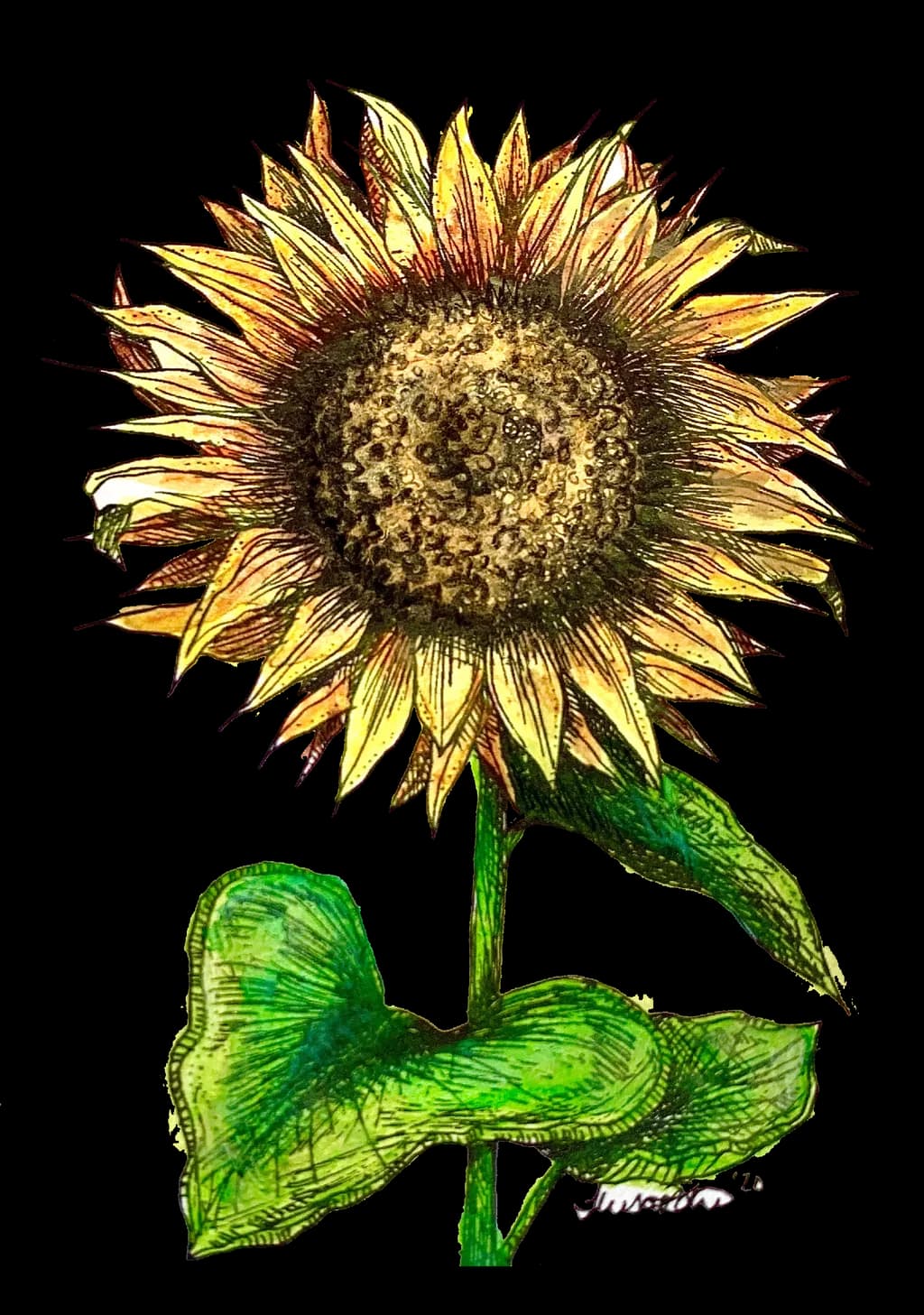 Watercolor Sunflower