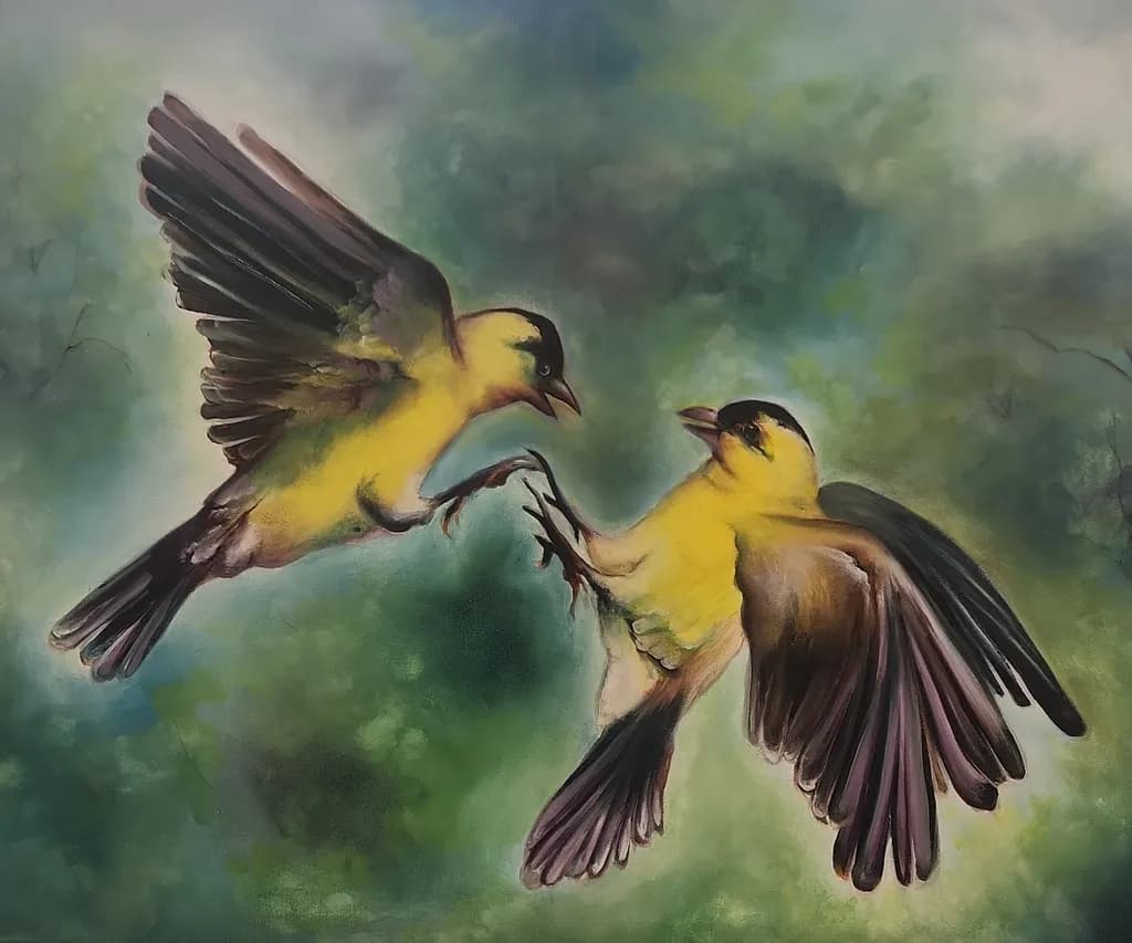 Yellow Finch Encounter