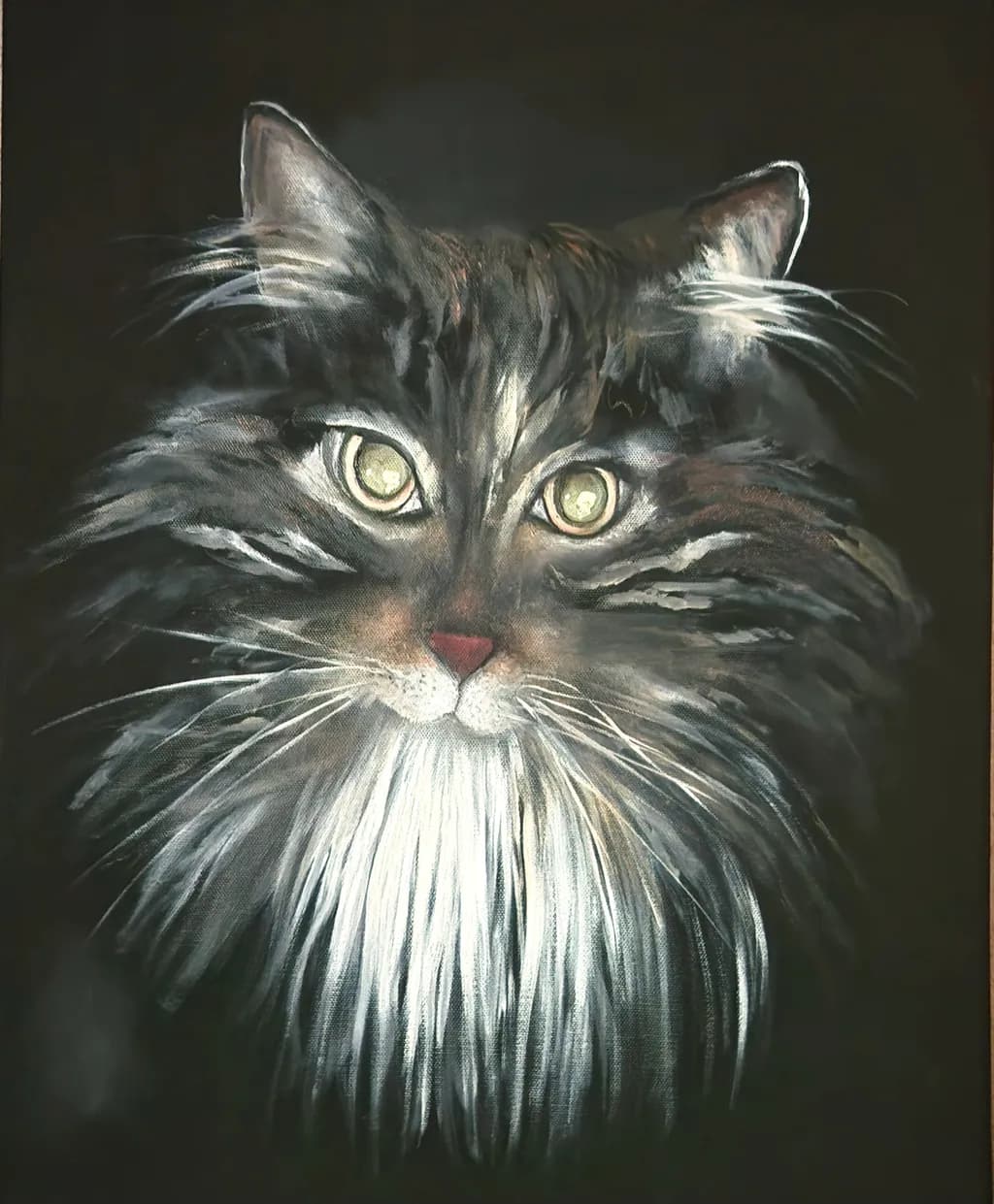 Midnight Whiskers