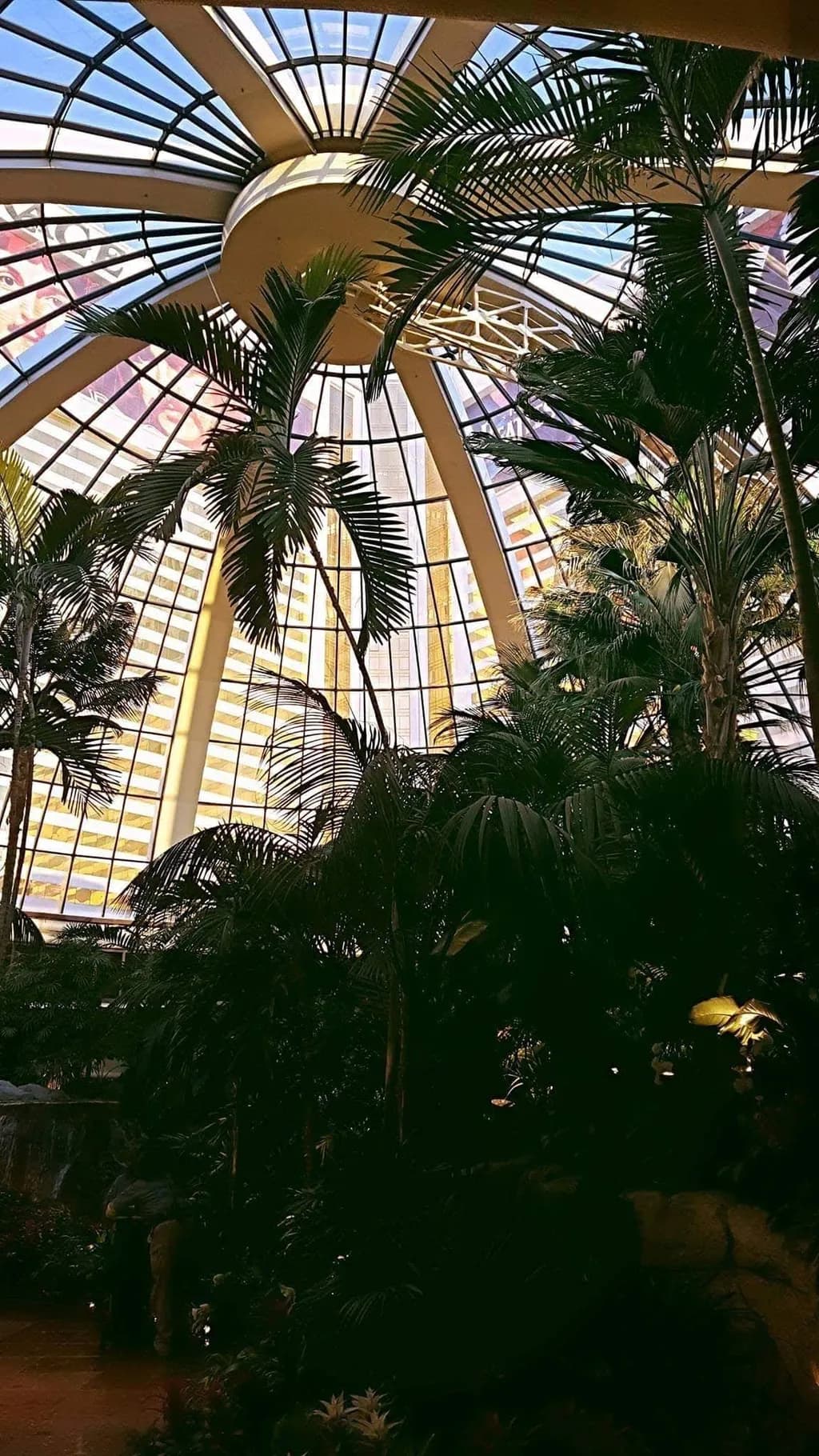 Glass Canopy Jungle